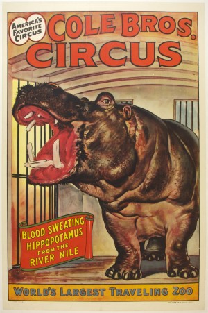 Cole Bros Circus Hippo Poster